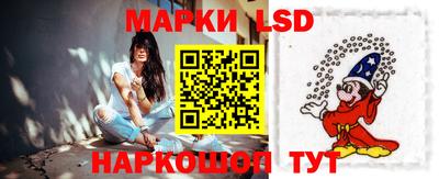 индика Кингисепп