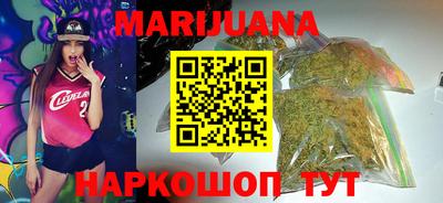 индика Кингисепп