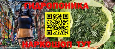 2c-b Кинель