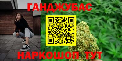 индика Кингисепп