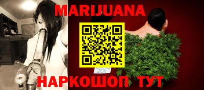 индика Кингисепп