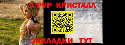 индика Кингисепп