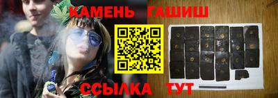 индика Кингисепп