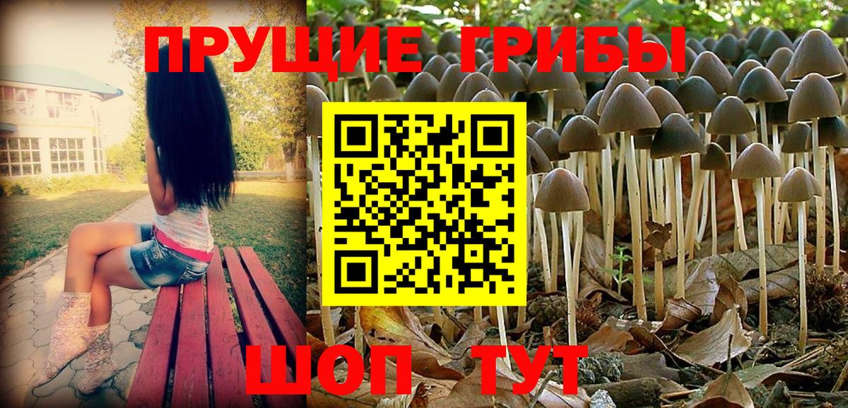 Псилоцибиновые грибы MAGIC MUSHROOMS Чистополь